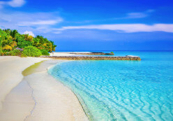 beach-1824855_1920.jpg